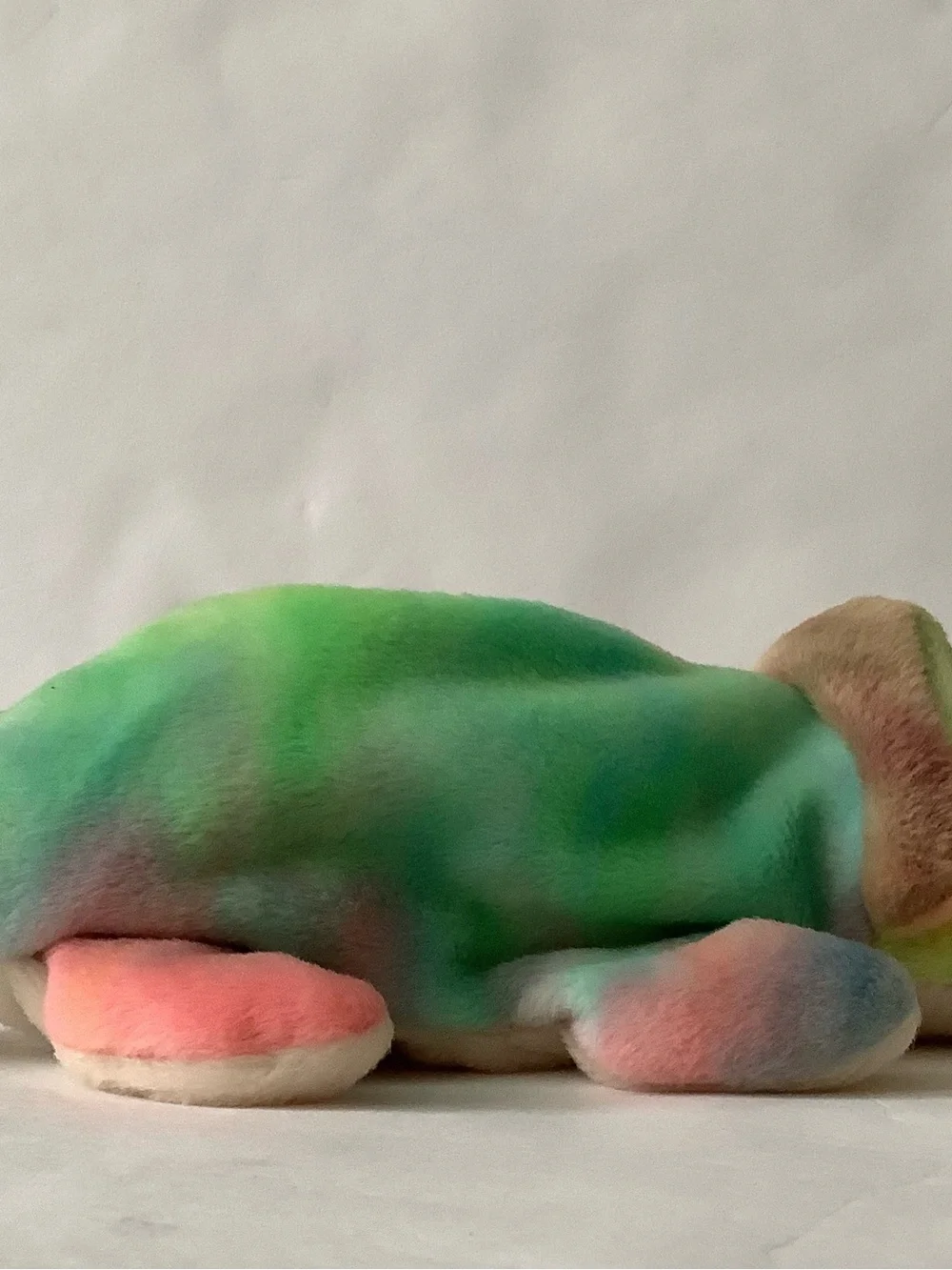 Ty beanie baby rainbow, Iggy, the Laguana chameleon lizard.